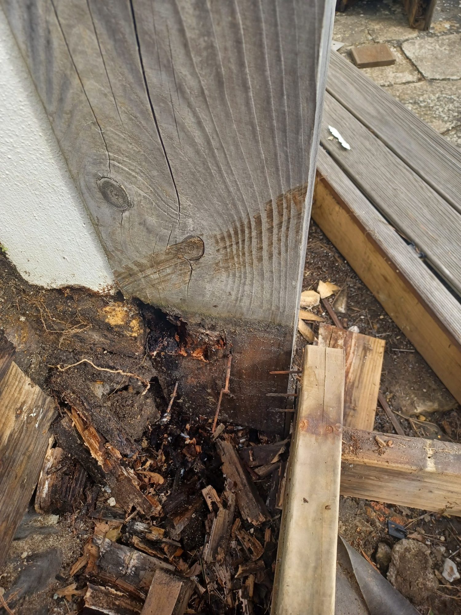 Decking Services in Beaminster - Coastal Property Improvements-3