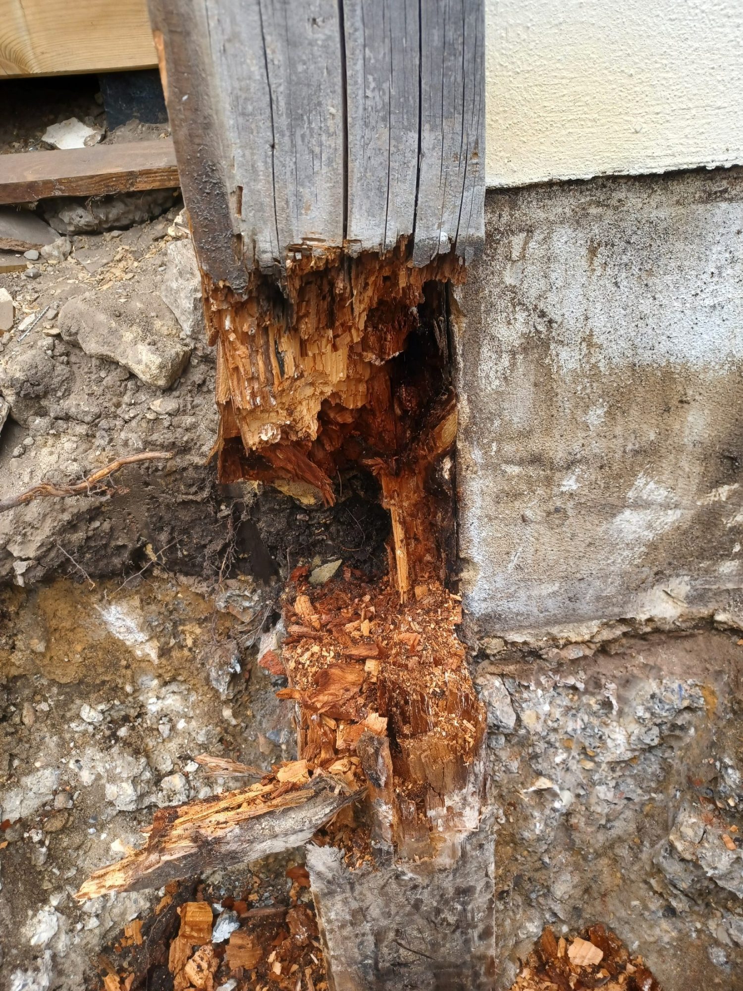 Shaftesbury Renovations and Alterations | Coastal Property Improvements-3