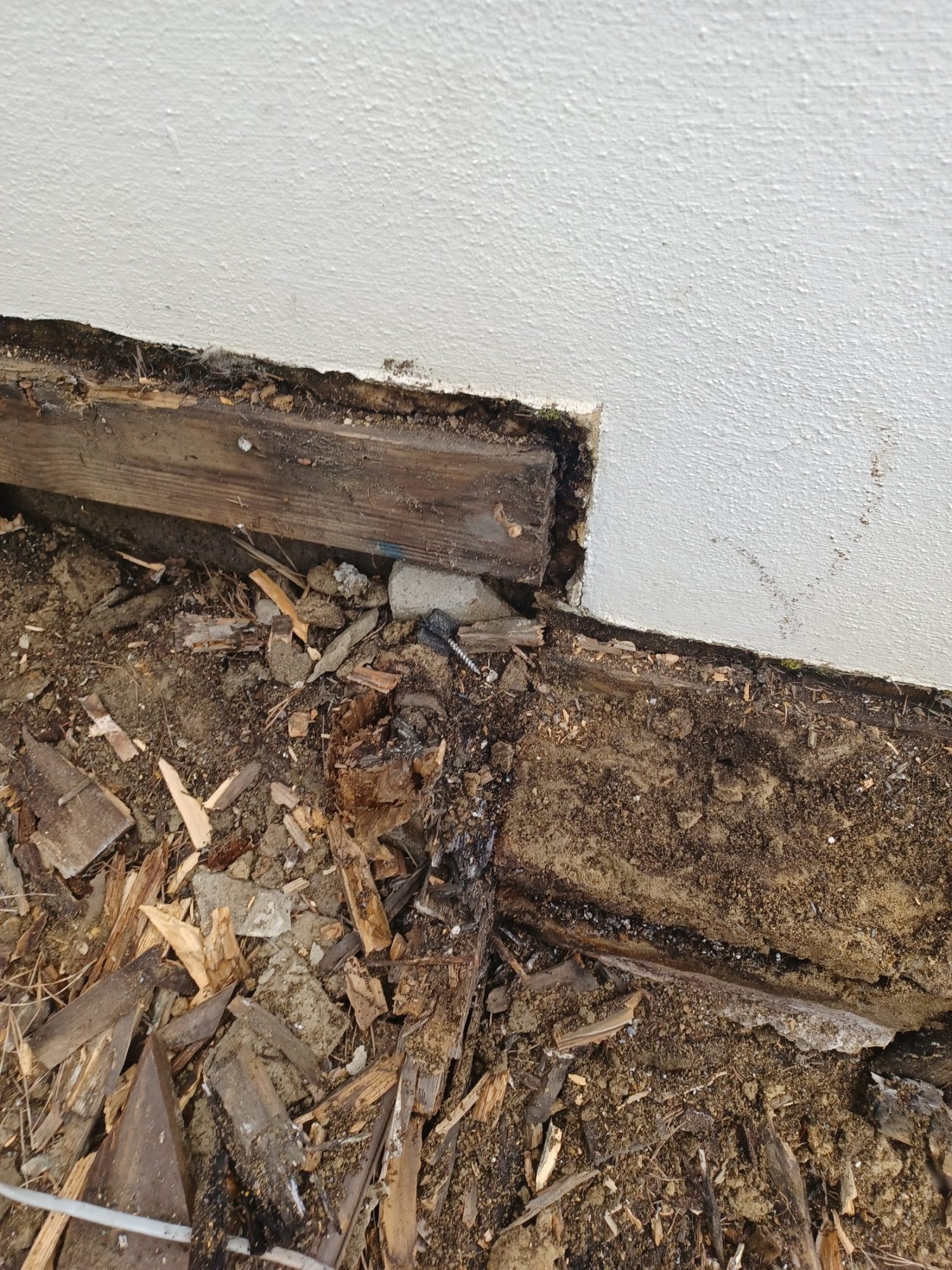 Decking Services in Highcliffe | Coastal Property Improvements-1